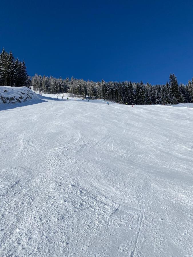 Appartements By Chalet Reiteralm -Sommercard שלאדמינג מראה חיצוני תמונה