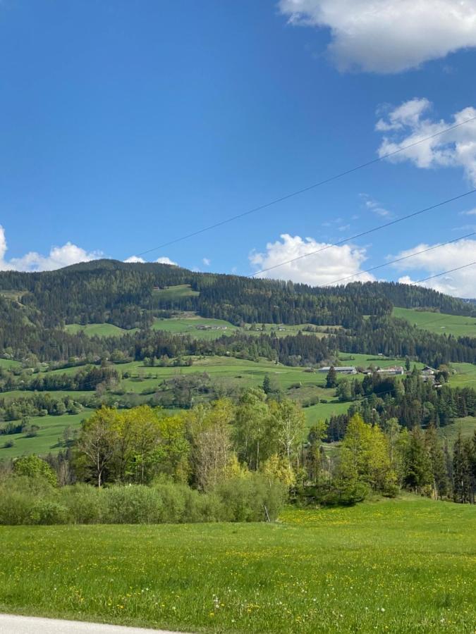 Appartements By Chalet Reiteralm -Sommercard שלאדמינג מראה חיצוני תמונה