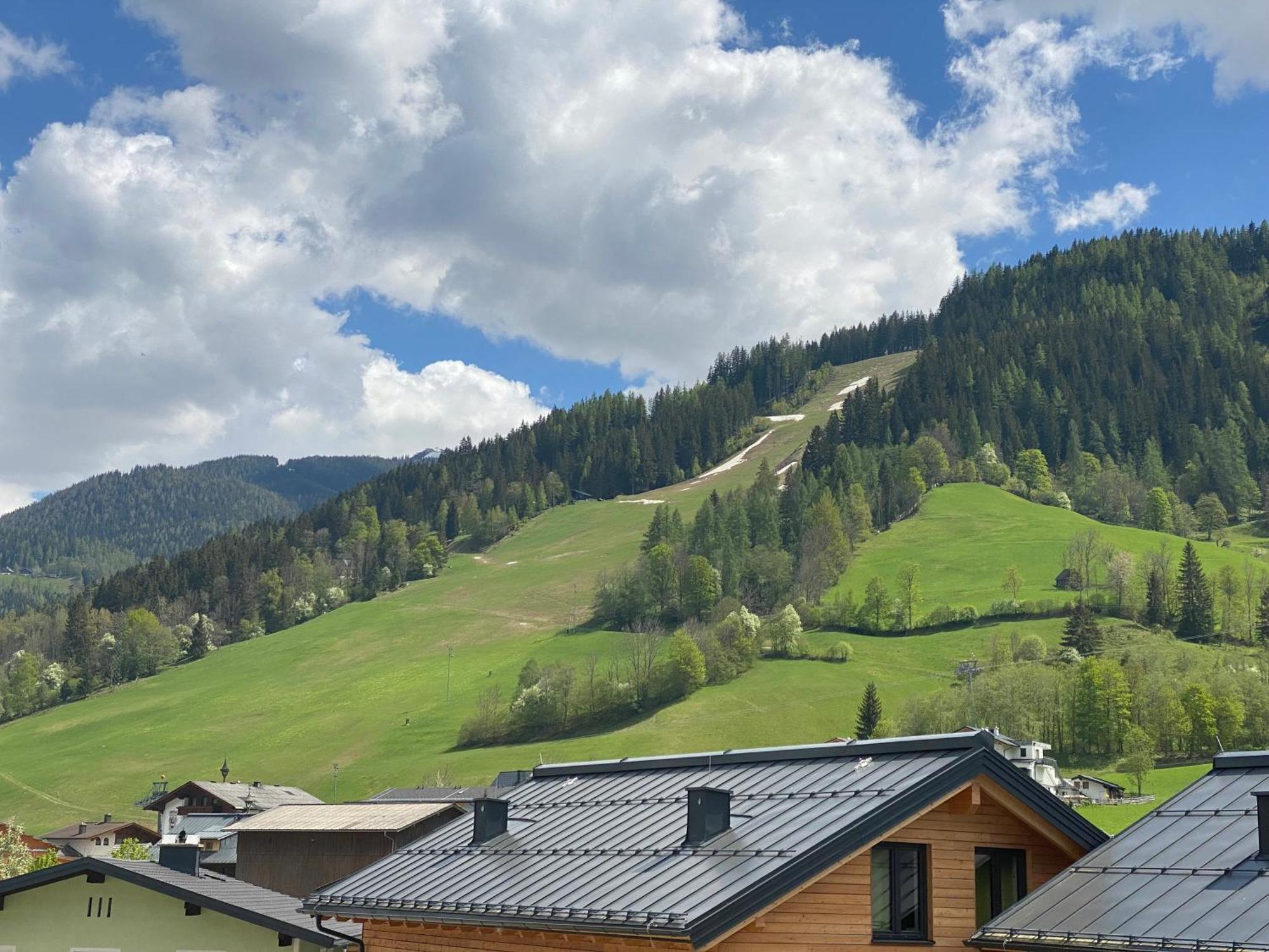 Appartements By Chalet Reiteralm -Sommercard שלאדמינג מראה חיצוני תמונה