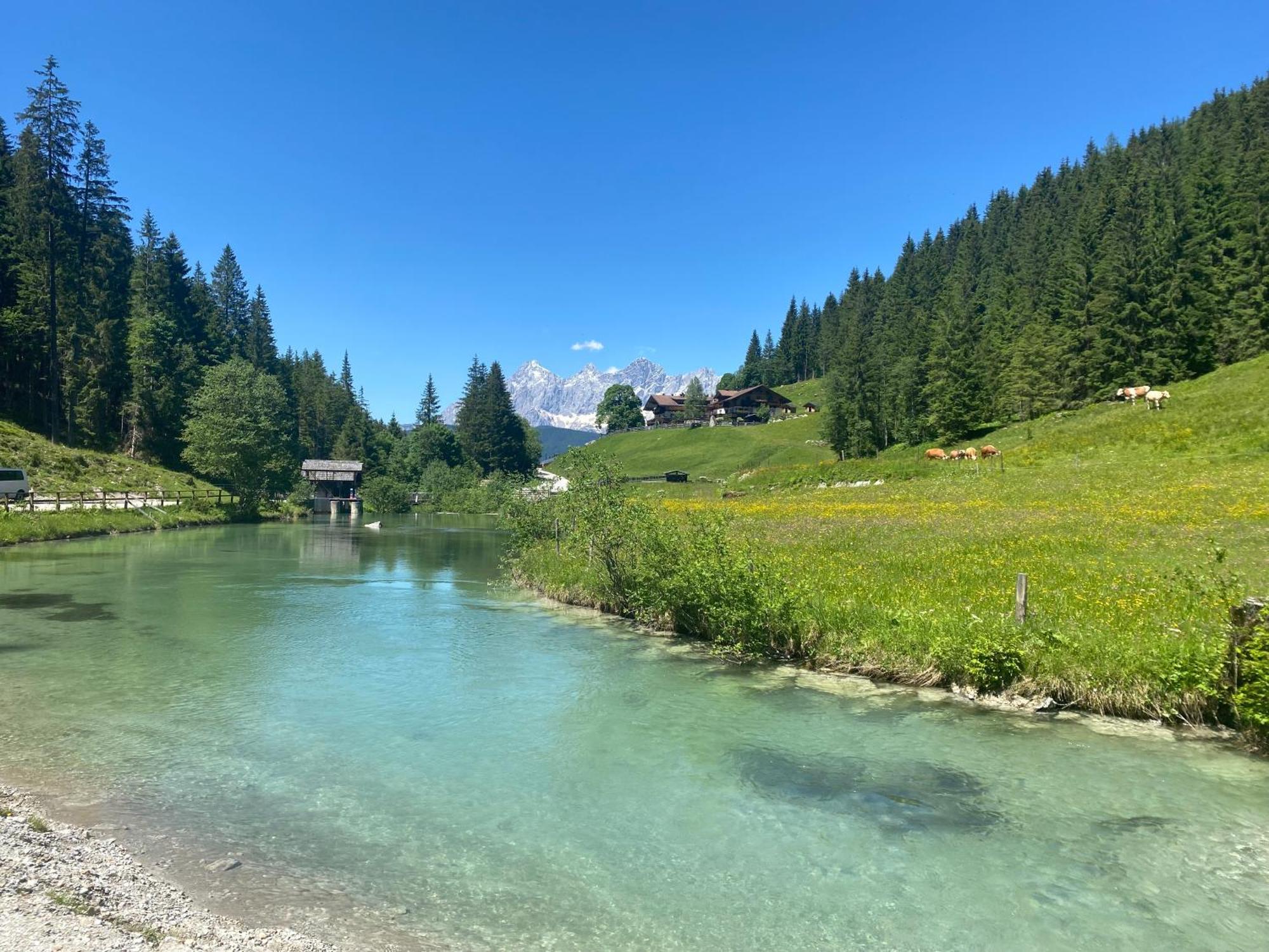 Appartements By Chalet Reiteralm -Sommercard שלאדמינג מראה חיצוני תמונה