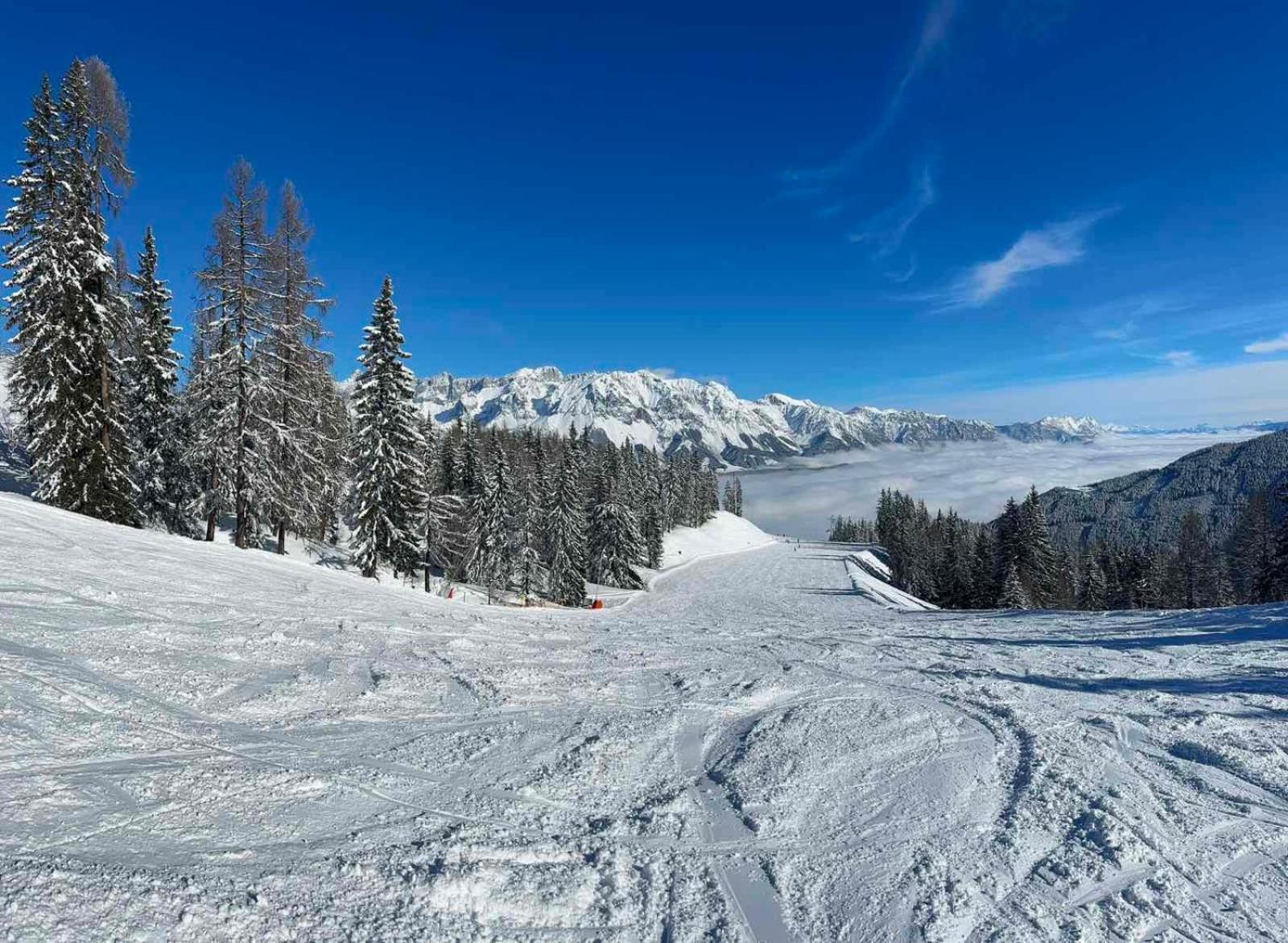 Appartements By Chalet Reiteralm -Sommercard שלאדמינג מראה חיצוני תמונה