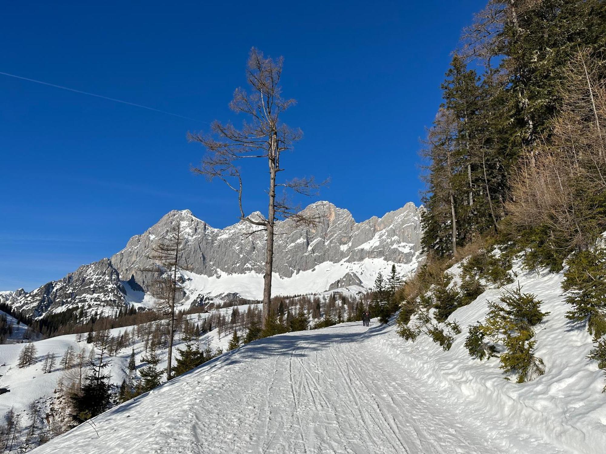 Appartements By Chalet Reiteralm -Sommercard שלאדמינג מראה חיצוני תמונה